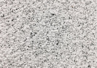 1-2511120Z624D6.jpg